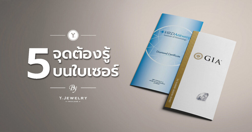 5 จุดต้องรู้ บนใบเซอร์